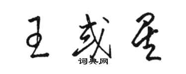 駱恆光王或星草書個性簽名怎么寫