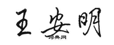 駱恆光王安明行書個性簽名怎么寫