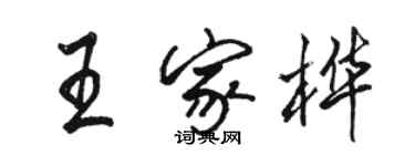 駱恆光王家樺行書個性簽名怎么寫