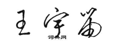 駱恆光王宇笛草書個性簽名怎么寫