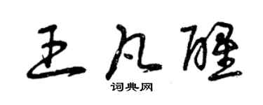 曾慶福王凡醒草書個性簽名怎么寫