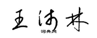 梁錦英王沛林草書個性簽名怎么寫