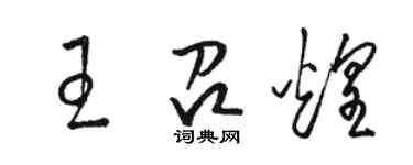 駱恆光王召煌草書個性簽名怎么寫