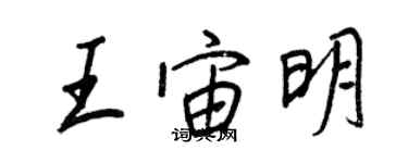 王正良王宙明行書個性簽名怎么寫