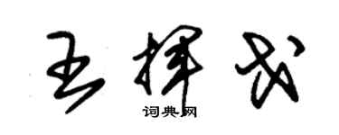 朱錫榮王揮戈草書個性簽名怎么寫