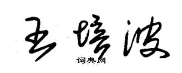 朱錫榮王培波草書個性簽名怎么寫