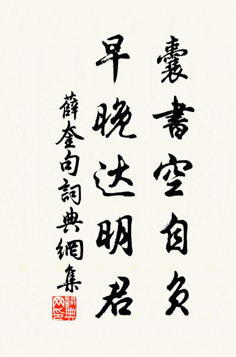 薛奎囊書空自負,早晚達明君。書法作品欣賞