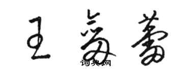 駱恆光王劍蕾草書個性簽名怎么寫