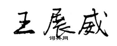 曾慶福王展威行書個性簽名怎么寫