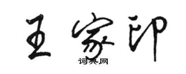 駱恆光王家印行書個性簽名怎么寫