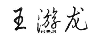 駱恆光王游龍行書個性簽名怎么寫