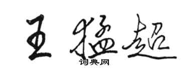 駱恆光王猛超行書個性簽名怎么寫