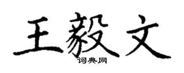 丁謙王毅文楷書個性簽名怎么寫