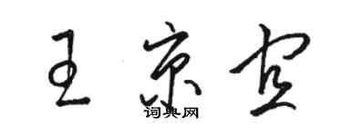 駱恆光王京宜草書個性簽名怎么寫