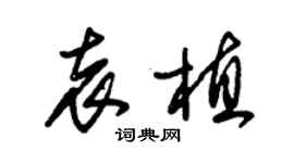 朱錫榮袁植草書個性簽名怎么寫