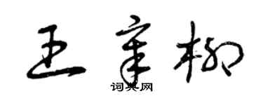 曾慶福王章柳草書個性簽名怎么寫