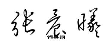 梁錦英張晨曦草書個性簽名怎么寫