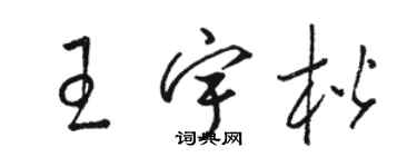 駱恆光王宇楷草書個性簽名怎么寫