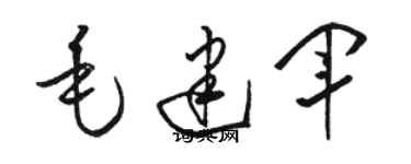 駱恆光毛建軍草書個性簽名怎么寫