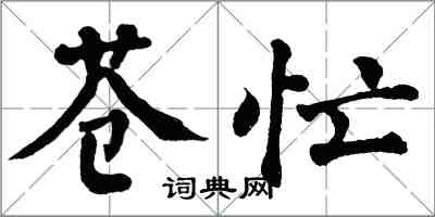 翁闓運蒼忙楷書怎么寫