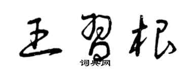 曾慶福王習根草書個性簽名怎么寫