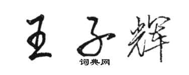 駱恆光王子輝行書個性簽名怎么寫