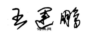 朱錫榮王運鵬草書個性簽名怎么寫