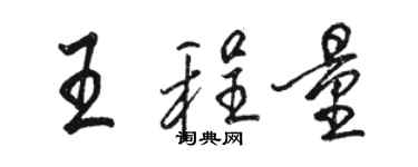 駱恆光王程量行書個性簽名怎么寫