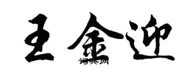 胡問遂王金迎行書個性簽名怎么寫