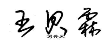 朱錫榮王貝霖草書個性簽名怎么寫