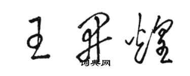 駱恆光王開煌草書個性簽名怎么寫