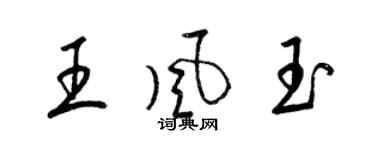梁錦英王風玉草書個性簽名怎么寫