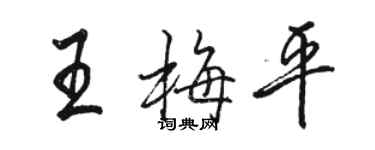 駱恆光王梅平行書個性簽名怎么寫