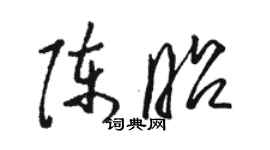 駱恆光陳昭草書個性簽名怎么寫