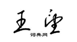 梁錦英王望草書個性簽名怎么寫