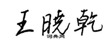 王正良王曉乾行書個性簽名怎么寫