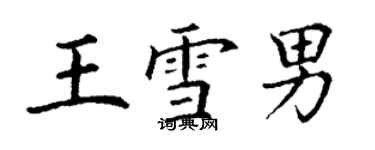 丁謙王雪男楷書個性簽名怎么寫