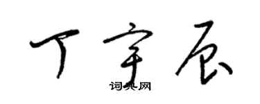 梁錦英丁宇辰草書個性簽名怎么寫