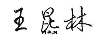 駱恆光王昆林行書個性簽名怎么寫