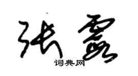 朱錫榮張霞草書個性簽名怎么寫