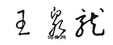 駱恆光王泉龍草書個性簽名怎么寫