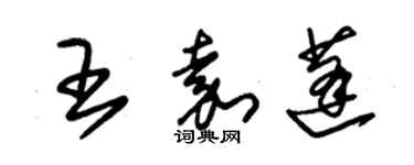 朱錫榮王嘉蓬草書個性簽名怎么寫