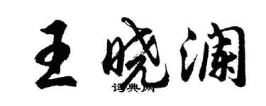 胡問遂王曉瀾行書個性簽名怎么寫