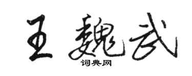 駱恆光王魏武行書個性簽名怎么寫