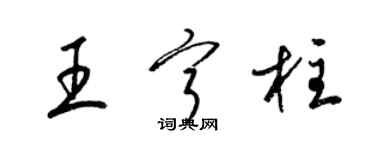 梁錦英王寧柱草書個性簽名怎么寫