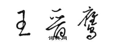 駱恆光王晉鷹草書個性簽名怎么寫