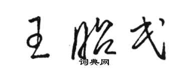 駱恆光王昭民草書個性簽名怎么寫