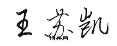 駱恆光王蘇凱行書個性簽名怎么寫