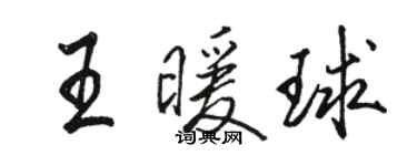 駱恆光王暖球行書個性簽名怎么寫