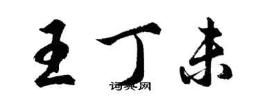 胡問遂王丁未行書個性簽名怎么寫